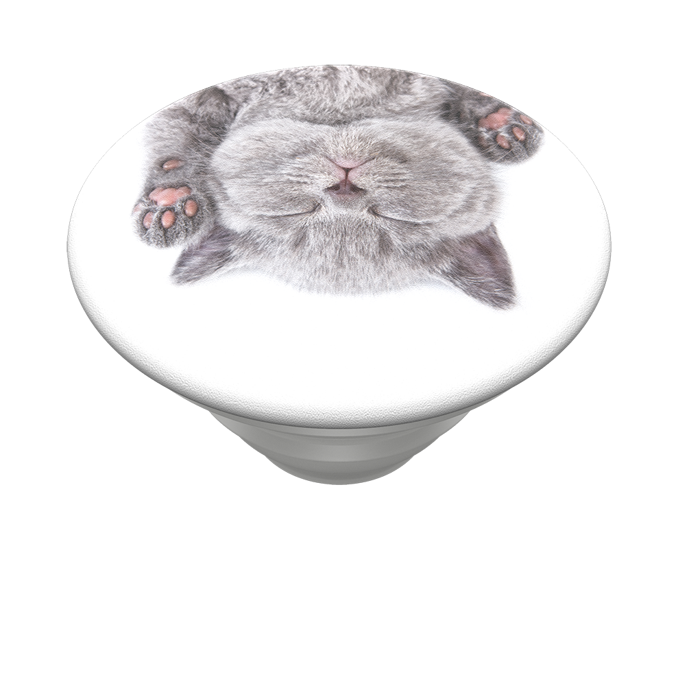 CAT NAP