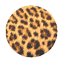 Cheetah Chic