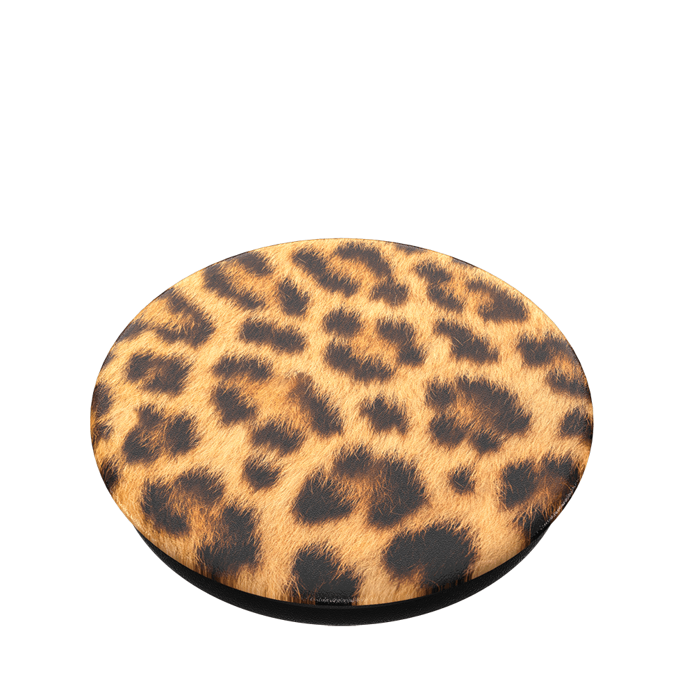 Cheetah Chic