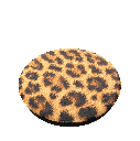 Cheetah Chic