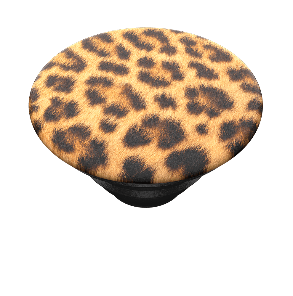 Cheetah Chic