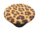 Cheetah Chic