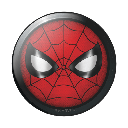 Spider-Man Icon