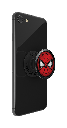 Spider-Man Icon