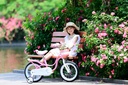 Swan Kids Bike 18" - Pink