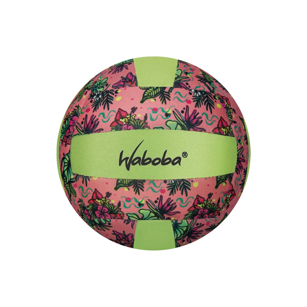 Classic Volleyball