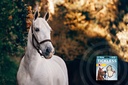 TICKLESS HORSE - Beige 