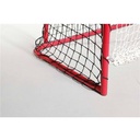 Floorball Goal - Unihockey with goal wall