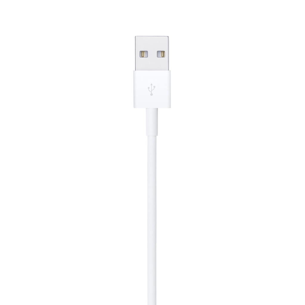 Lightning to USB Cable (2 m) 