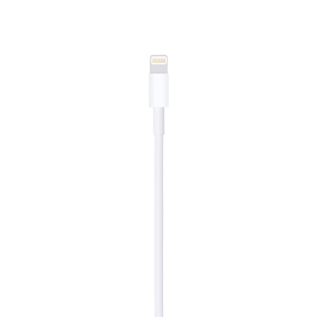 Lightning to USB Cable (2 m) 