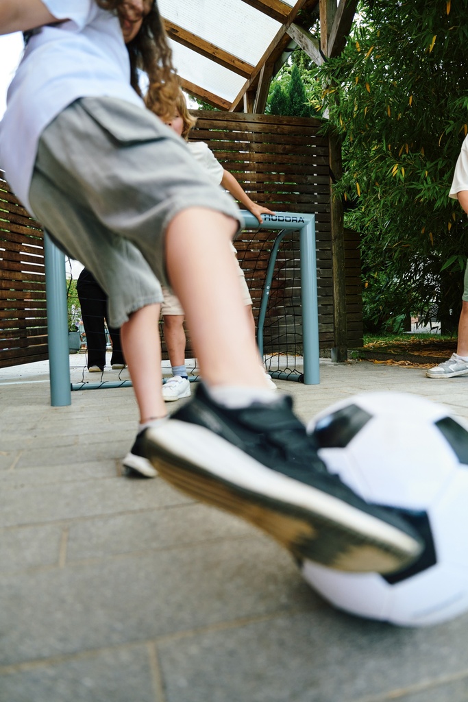 Soccer goal Expert 120