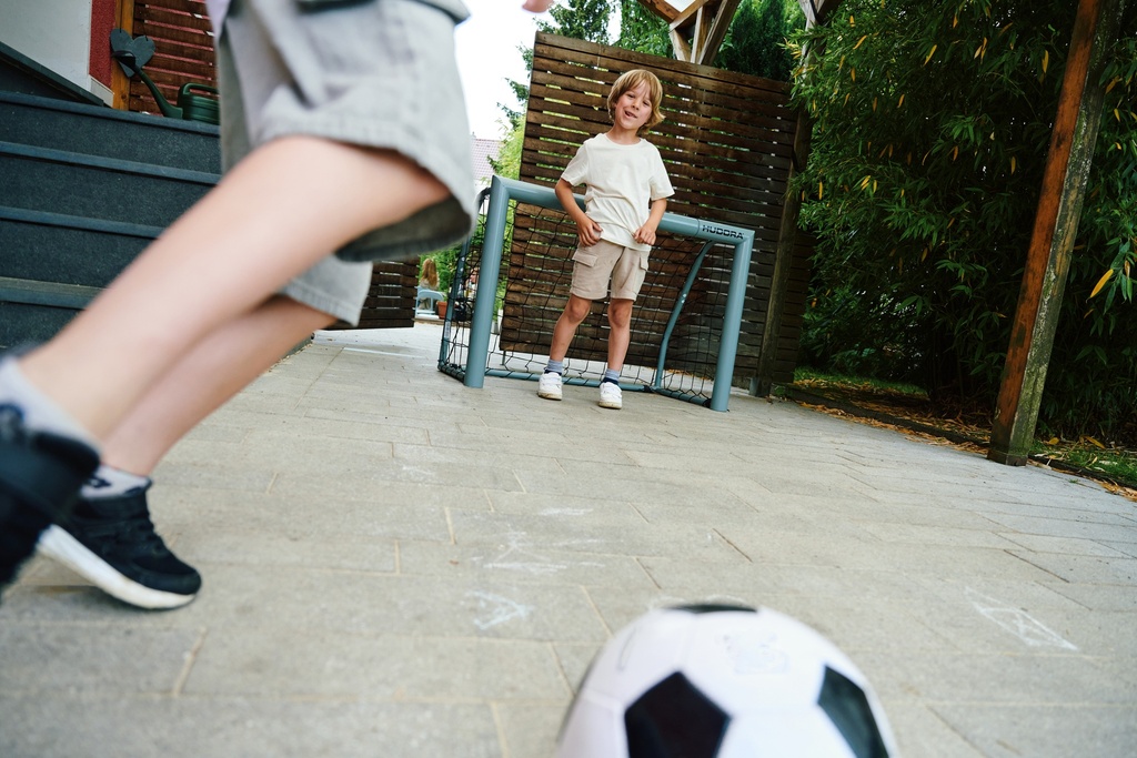 Soccer goal Expert 120