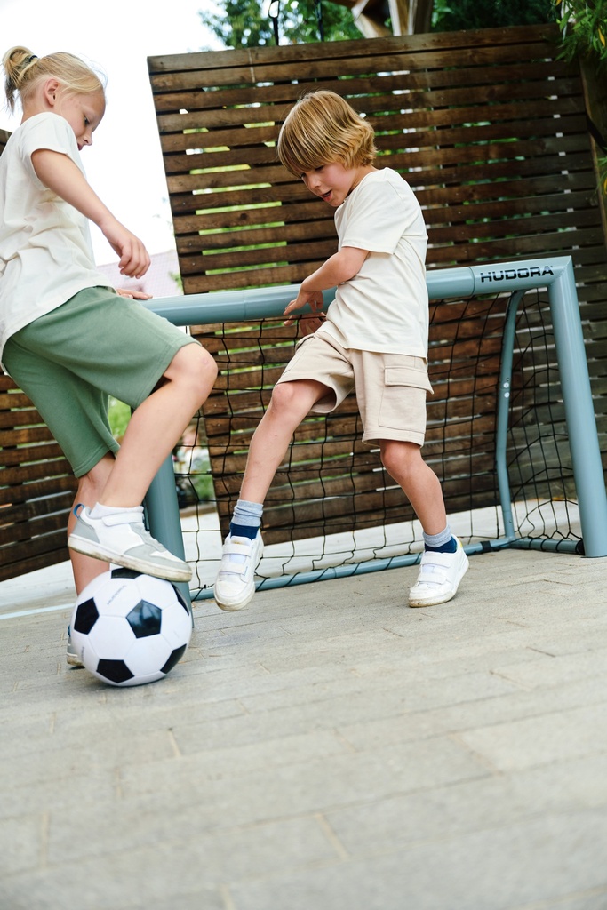 Soccer goal Expert 120