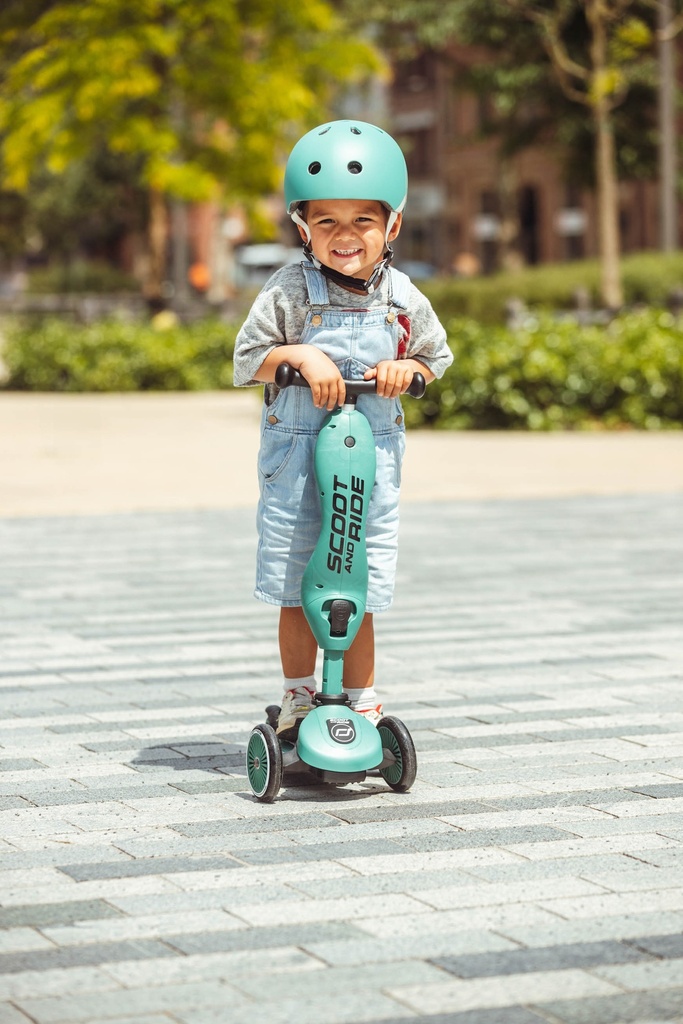 Highwaykick 1-Forest