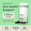 Kombucha (Ve)