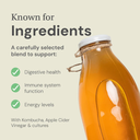 Kombucha (Ve)