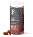 Mood Mushrooms (Ve)