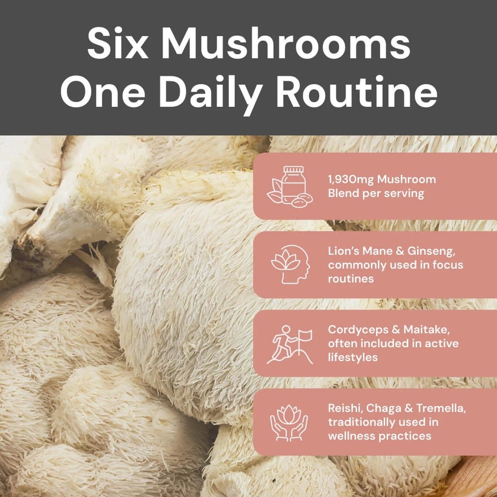 Multi Mushrooms (Ve)