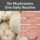 Multi Mushrooms (Ve)