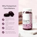 Postpartum Support (Ve)