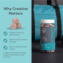 Vegan Creatine (Ve) Watermelon