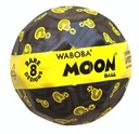 Mystery Moon