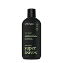 Super leaves 2-in-1Shampoo & Conditioner Fortifying - Bergamot & Matcha 415 ml