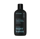 Super leaves 2-in-1 Shampoo & Conditioner Scalp care - Eucalyptus & Sage 415 ml