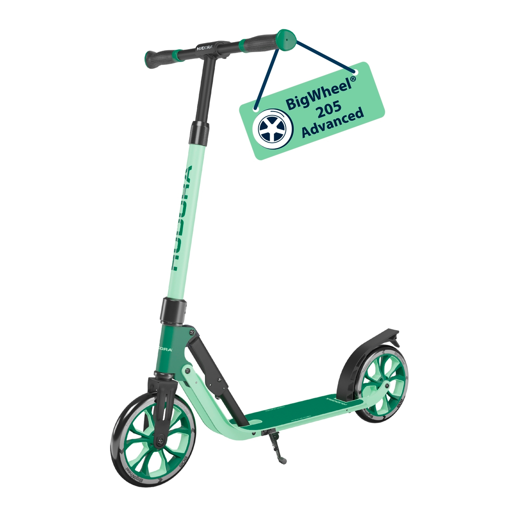 BigWheel® 205 Advanced - Pine