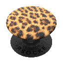 Cheetah Chic