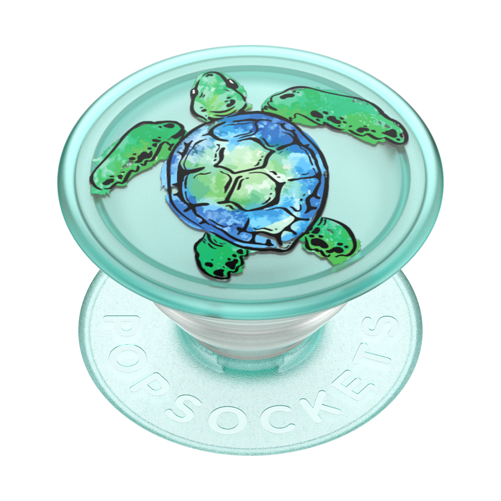 PLANT TORTUGA