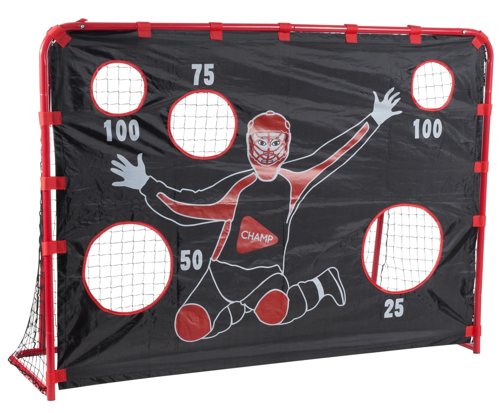 Floorball Goal - Unihockey with goal wall